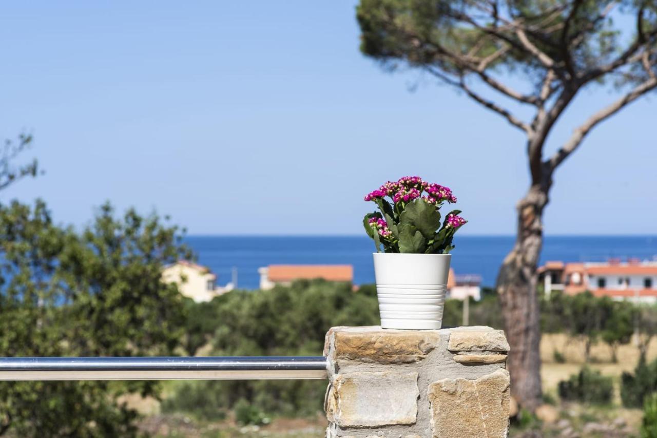 B&B Il Sogno Santa Maria di Castellabate Zewnętrze zdjęcie