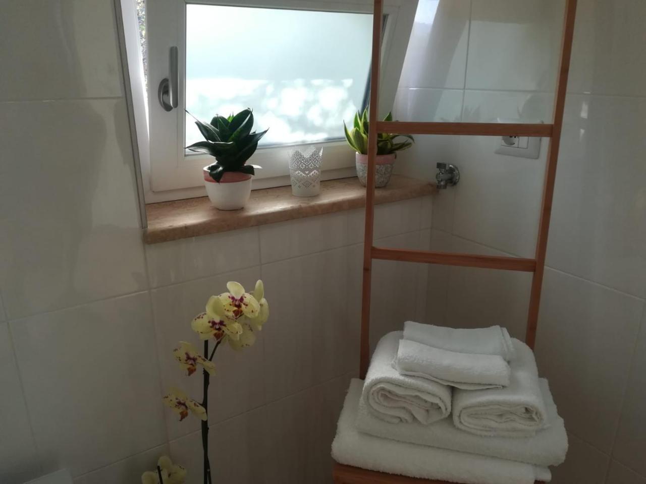 B&B Il Sogno Santa Maria di Castellabate Zewnętrze zdjęcie