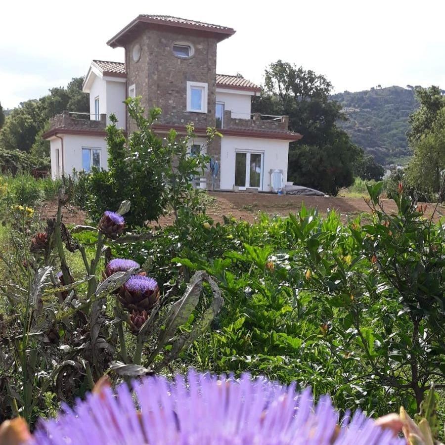 B&B Il Sogno Santa Maria di Castellabate Zewnętrze zdjęcie