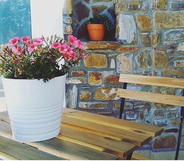 B&B Il Sogno Santa Maria di Castellabate Zewnętrze zdjęcie