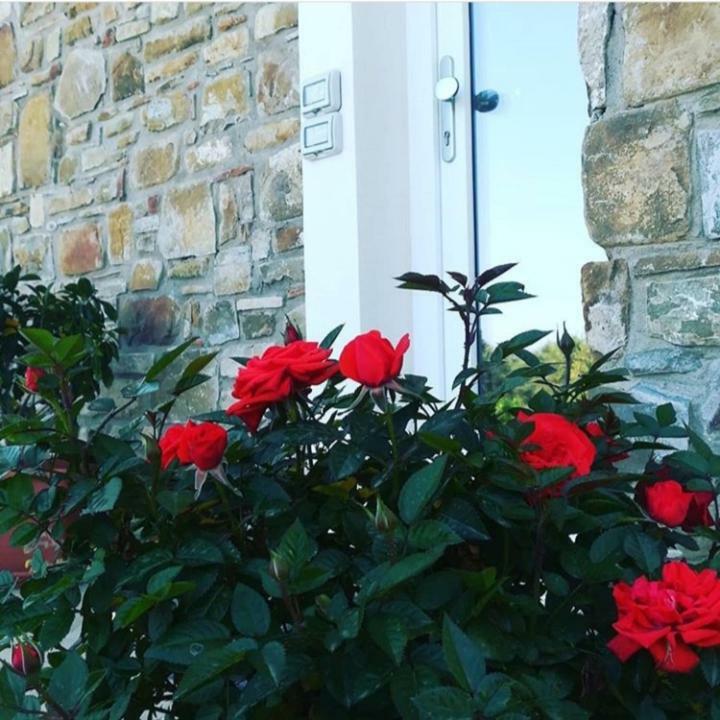 B&B Il Sogno Santa Maria di Castellabate Zewnętrze zdjęcie